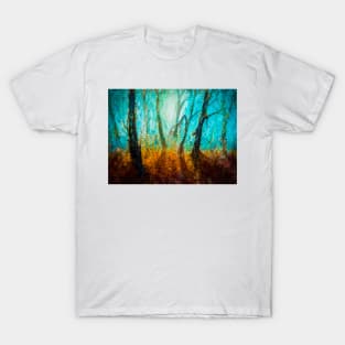 light in the woods T-Shirt